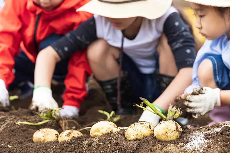 動植物に触れる機会も多くある園で活躍